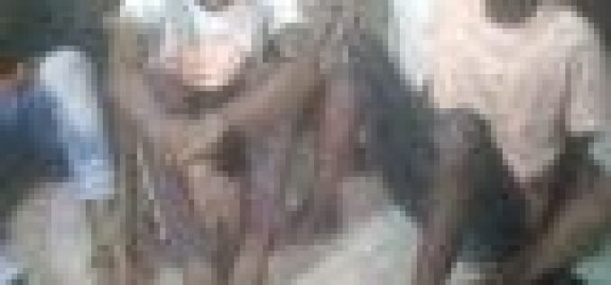 Unsettled life of Lagos cultists; ways to identify members revealed