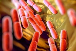 Revealed! Wife “Explains” Totally Natural Solution to Staph Aureus, STD, UTI and other Stubborn Infections without using Antibiotics