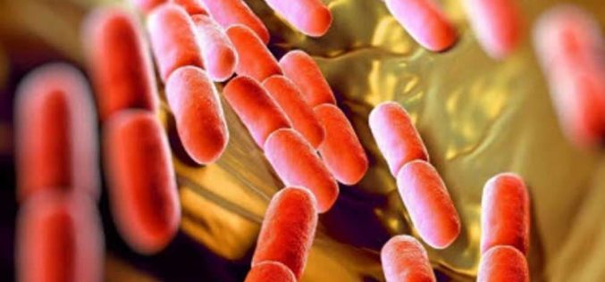 Revealed! Wife “Explains” Totally Natural Solution to Staph Aureus, STD, UTI and other Stubborn Infections without using Antibiotics