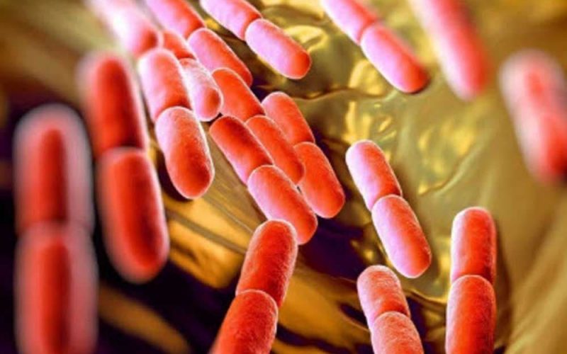 Revealed! Wife “Explains” Totally Natural Solution to Staph Aureus, STD, UTI and other Stubborn Infections without using Antibiotics