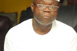 The One Nigeria Project Building Unity and Creating Sense of Belongings in Diverse Nigeria