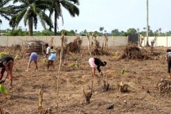 OPM reopens farm for repentant militants, commercial sex workers in Rivers