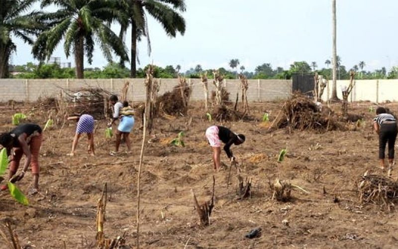 OPM reopens farm for repentant militants, commercial sex workers in Rivers