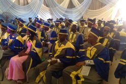 How government can tackle graduate unemployment – ASCETA Provost