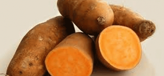 We’ll ensure potato value chain achieves full potential — FG