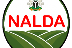 Food Security: NALDA moves to reactivate 1,200 hectares farmland in Ekiti