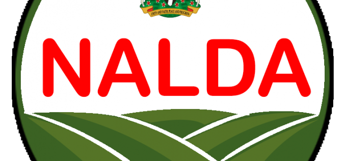 NALDA to boost cassava production with packaging plant in Ogun