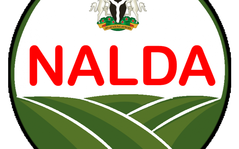 Food Security: NALDA moves to reactivate 1,200 hectares farmland in Ekiti