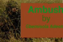 Ambush: Adeoti’s satire of Nigeria’s giant of Africa title