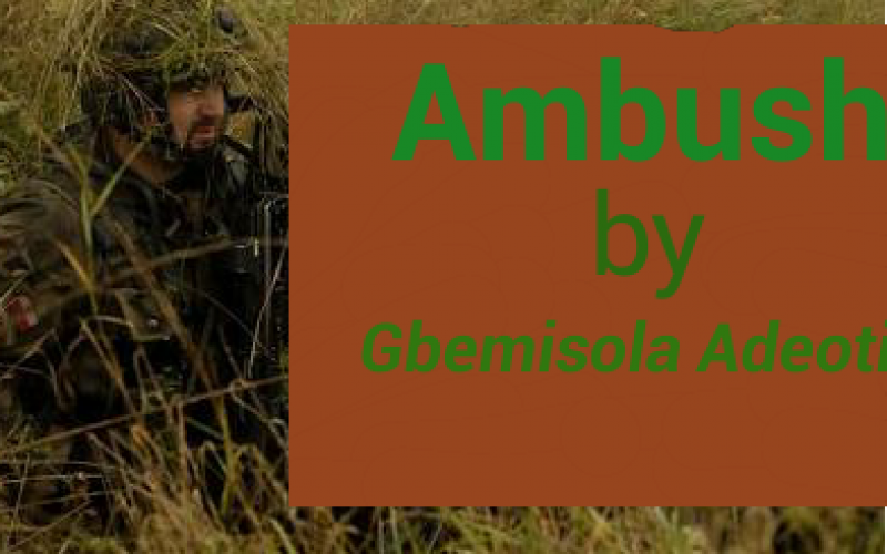 Ambush: Adeoti’s satire of Nigeria’s giant of Africa title