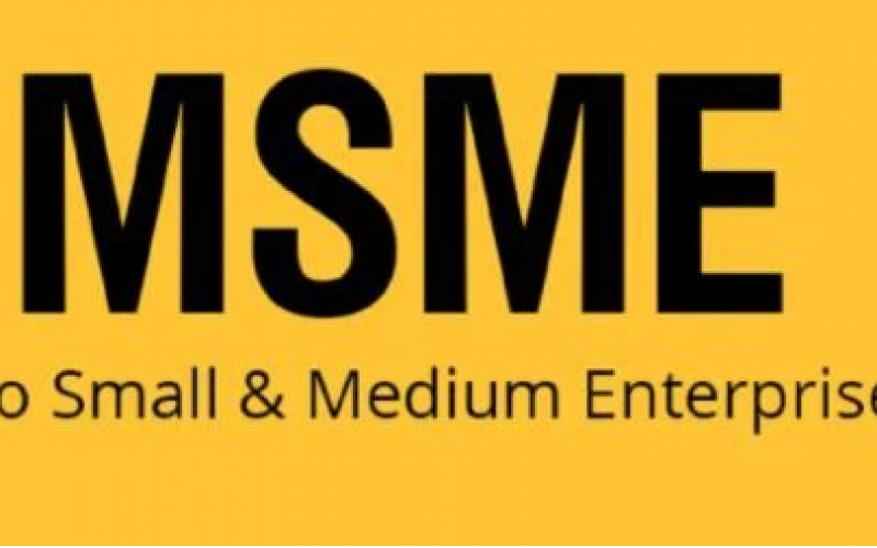 ESP survival fund: More payroll support payments, MSME grants to commence this week