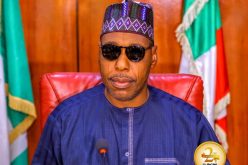 Boko Haram: Zulum salutes military, lists gains by troops in Gwoza, Borno