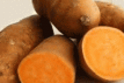 FG urges farmers to adopt orange-fleshed sweet potato