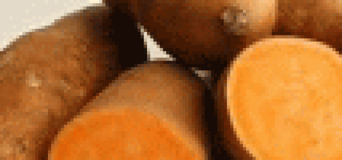 FG urges farmers to adopt orange-fleshed sweet potato
