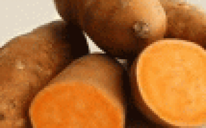 FG urges farmers to adopt orange-fleshed sweet potato