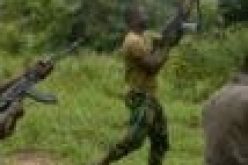 Bandits kill 8, injure 4 in Kaduna