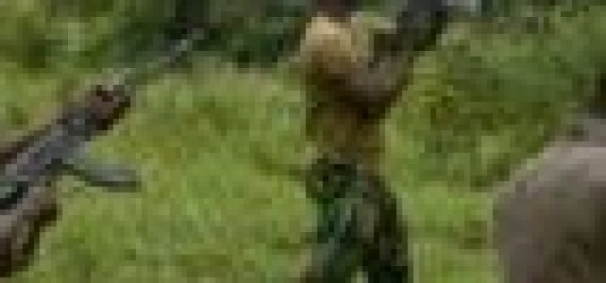Bandits kill 8, injure 4 in Kaduna
