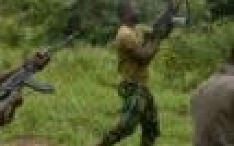Bandits kill 8, injure 4 in Kaduna