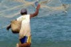 Capacity building: Lagos commences artisanal fisheries value for fishing communities