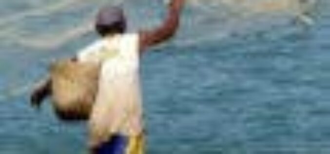Capacity building: Lagos commences artisanal fisheries value for fishing communities