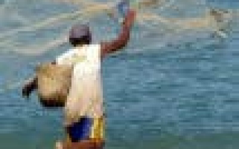 Capacity building: Lagos commences artisanal fisheries value for fishing communities
