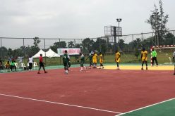 NSF: Lagos edges host Edo to handball final