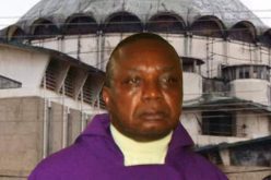 Imo catholic priest freed after one night in kidnappers den