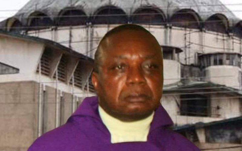 Imo catholic priest freed after one night in kidnappers den