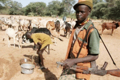 Breaking: 50 arms-bearing herdsmen arrested in 3 states