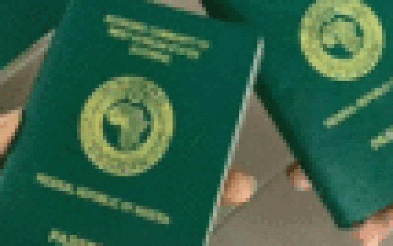 FG delivers 1.48m passports, receives 23,552 marriage applications in one year