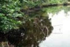 Oil spill: Itsekiri communities kick over alleged exclusion from affected areas