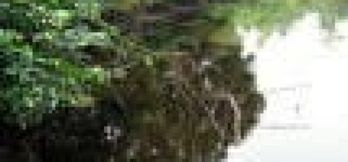 Oil spill: Itsekiri communities kick over alleged exclusion from affected areas