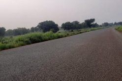 Immortalise  Eze Aro with quality road, Arochukwu indigenes beg FG