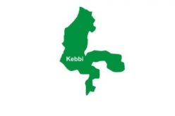 Trans-border trafficker nabbed with 280kg assorted drugs in Kebbi