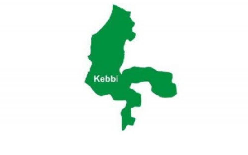 Trans-border trafficker nabbed with 280kg assorted drugs in Kebbi
