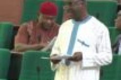 Reps move to exclude FG, regular courts from labour matters