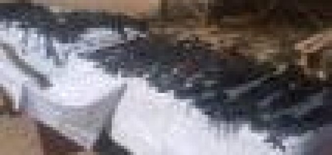 Bandits surrender 26 rifles to police in Katsina