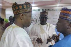 Boko Haram: NNPC to partner Borno govt to establish gas power plant