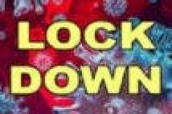 Before we lockdown for second time — Okpara Enyinna