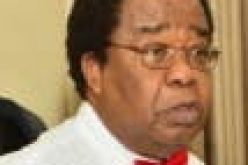 Arms are flooding into Nigeria as if war is on  — Bolaji Akinyemi