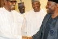 Why Buhari holds Jonathan in high esteem — Sylva