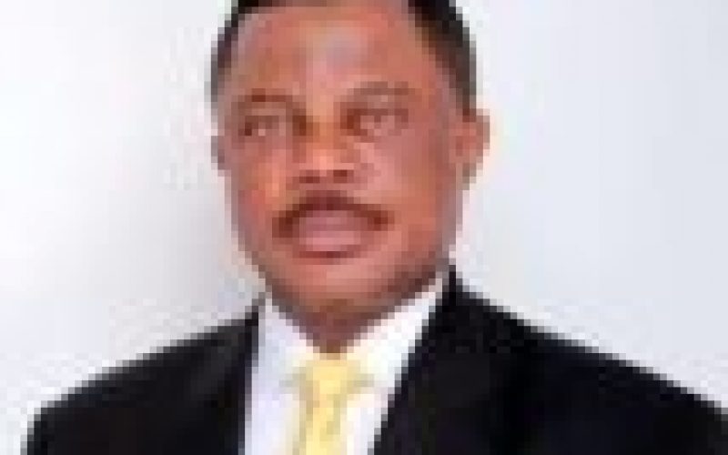 Anambra: How Obiano gives new lease of life to disabled community -Aide