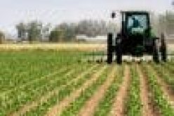 Food Security: NALDA moves to reactivate 1,200 hectares farmland in Ekiti