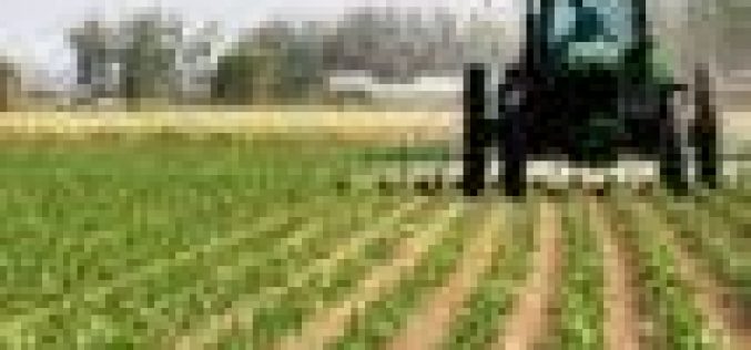 Dry season farming: Stakeholders speak on deepening food insecurity