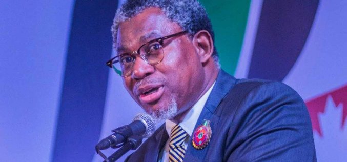Post COVID-19 palliative measure: FG builds 6 regional mining plants
