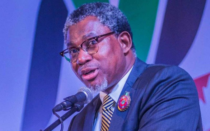 Post COVID-19 palliative measure: FG builds 6 regional mining plants
