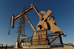 People with International connections, political power, stealing N’Delta oil — Environmentalist