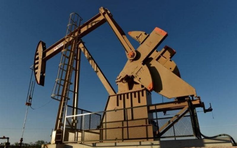 People with International connections, political power, stealing N’Delta oil — Environmentalist