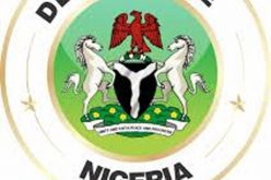 2023: Don’t lie to Deltans on zoning, DESPA tells Urhobo politicians