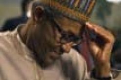 Alleged $65m fraud: Track down Buhari’s son-in-law, PDP charges ICPC